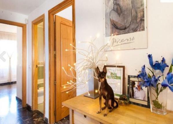 Penthouse With Private Roof Terrace And Jacuzzi Apartment Fuengirola Luaran gambar